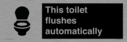 this-toilet-flushes-automatically~